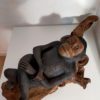 Le singe