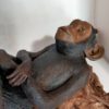 Le singe – Image 4
