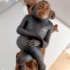 Le singe – Image 2