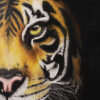 Les yeux du tigre – Image 4